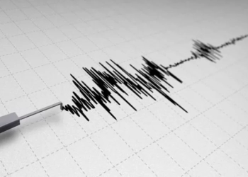 საქართველოში მიწისძვრა მოხდა