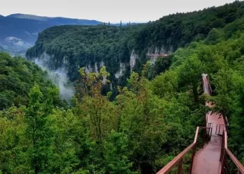  12 თებერვლიდან ოკაცეს კანიონი დაიკეტება