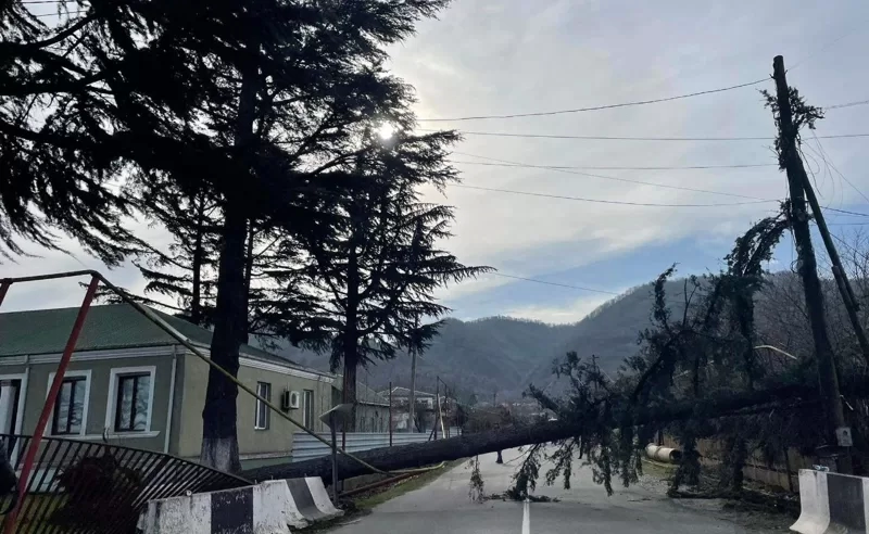 წვიმამ და ძლიერმა ქარმა იმერეთში პრობლემები შექმნა