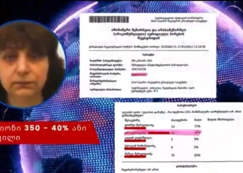დაცულ ტერიტორიებს, როგორც ჯიხურებს ისე უყურებენ – რა ახალ კორუფციულ ბიზნესგარიგებებზე საუბრობენ ბალდის კანიონის მცველები