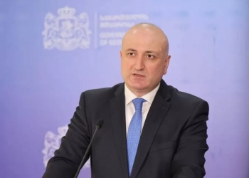 ჩემს ორწლიან ძალისხმევაში შედეგებს 90% და პიარულ აქტივობებს 10% ეთმობოდა-ჯანდაცვის ყოფილი მინისტრი