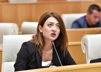 ლგბტ პროპაგანდა რომ „დაგუგლოთ“, ამოგიგდებთ „ქართულ ოცნებას“ –  რას მოიწუოდებს ანა ბუჩუკური ოპოზიციას