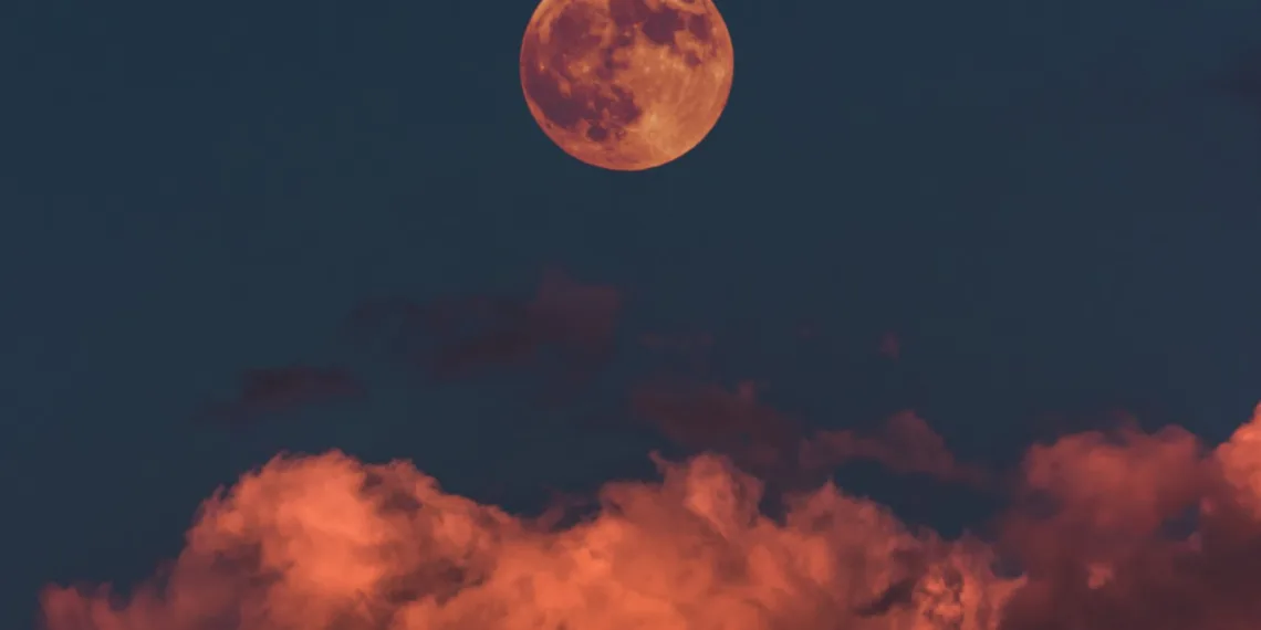 გაიხსნა დაბნელების დერეფანი – ნახეთ რა უნდა გააკეთოთ ამ პერიოდში