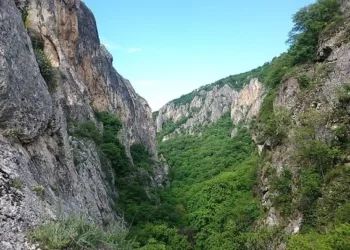 ჭიათურაში მამაკაცის ცხედარი იპოვეს