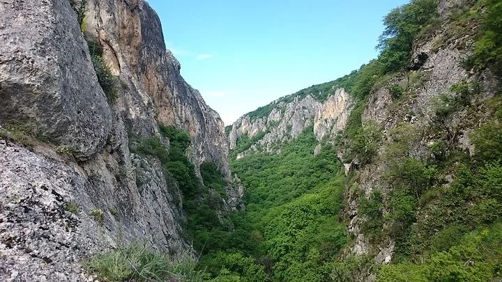 ჭიათურაში მამაკაცის ცხედარი იპოვეს
