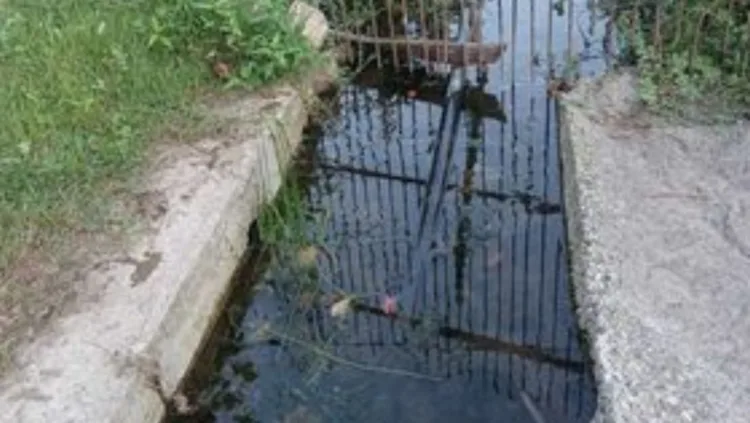 xr:d:DAFyXhZs5kU:139,j:8114784454095058761,t:24040415