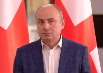 სამადაშვილი რომელი ევროპული ღირებულებაა?-მაჭარაშვილი