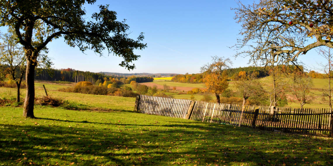 მთავრობამ ქონება ყველაზე იაფად იმერეთში გაყიდა