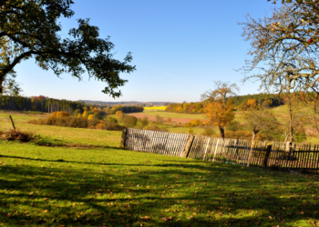 მთავრობამ ქონება ყველაზე იაფად იმერეთში გაყიდა