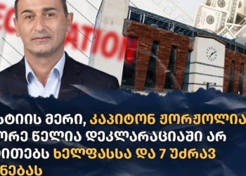 მესტიის მერი მეორე წელია დეკლარაციაში ხელფასსა და 7 უძრავ ქონებას არ უთითებს – TI