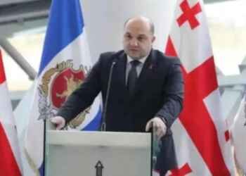 კადრებში კარგად ჩანს ლევან ხაბეიშვილის ქმედება-შსს მინისტრის მოადგილე