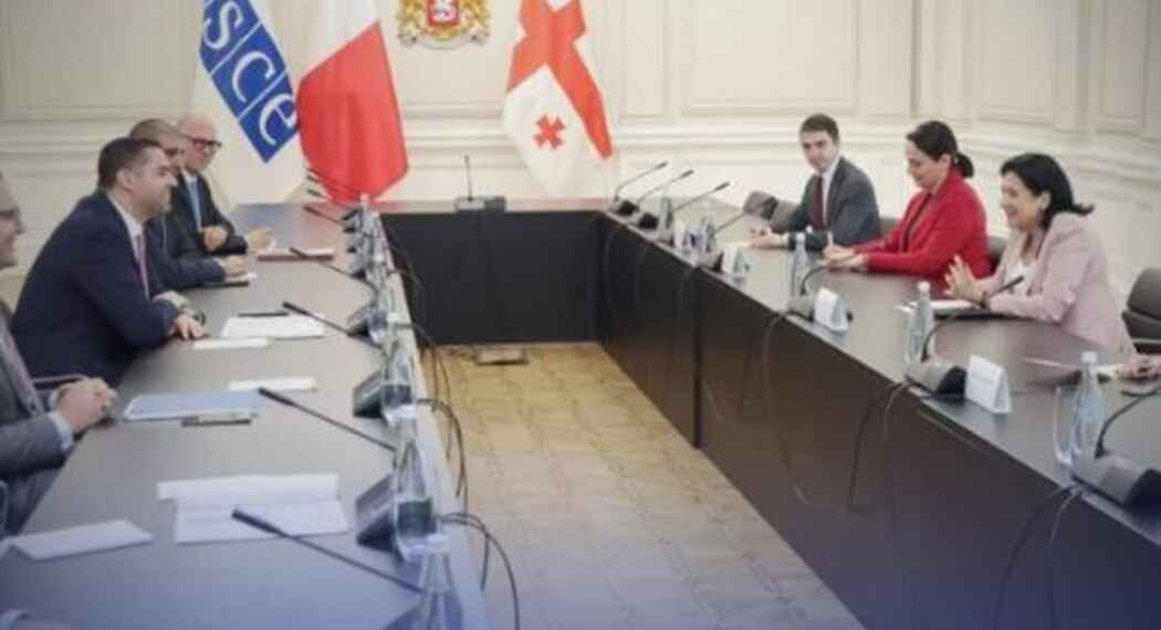 სალომე ზურაბიშვოლი ეუთო-ს თავმჯდომარეს შეხვდა