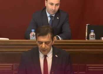 იურიდიულ კომიტეტზე, რუსულ კანონზე პრეზიდენტის ვეტოს განხილვა დაიწყო