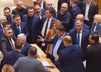 ტარიელ ნაკაიძის მიერ „ქართული ოცნების“ წევრების სერგო ორჯონიკიძესთან შედარებას, პლენარულ სხდომაზე ხმაური მოჰყვა