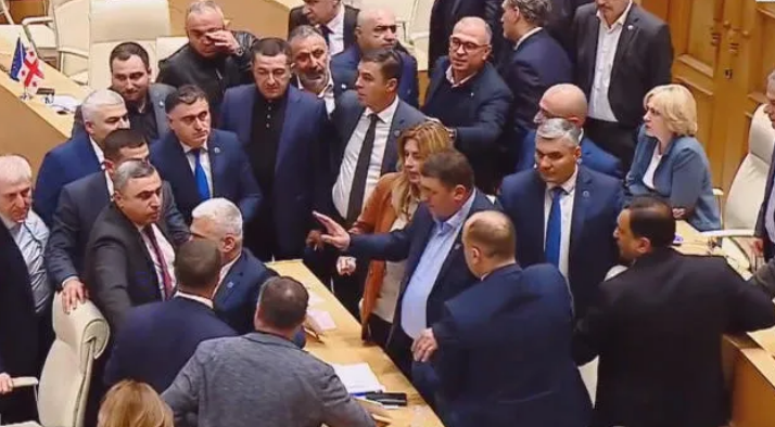 ტარიელ ნაკაიძის მიერ „ქართული ოცნების“ წევრების სერგო ორჯონიკიძესთან შედარებას, პლენარულ სხდომაზე ხმაური მოჰყვა
