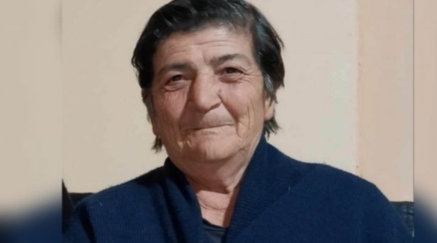 სოფელ ზემო მაღაროში მერვე დღეა დაკარგულ ქალს ეძებენ