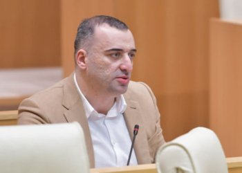 “ქართულმა ოცნებამ” დააინიცირა დაბალანსებული “ამნისტიის პროექტი”-რატი იონათამიშვილი