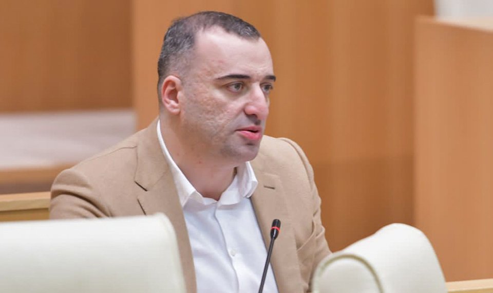 “ქართულმა ოცნებამ” დააინიცირა დაბალანსებული “ამნისტიის პროექტი”-რატი იონათამიშვილი