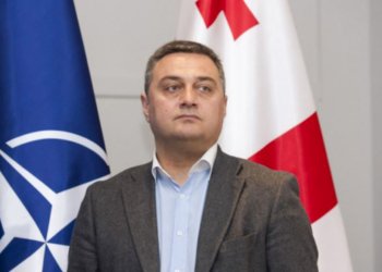 საქართველო თავის ღირსეულ და სათანადო ადგილს დაიკავებს ევროატლანტიკურ და ევროპულ სივრცეში-ვიქტორ დოლიძე