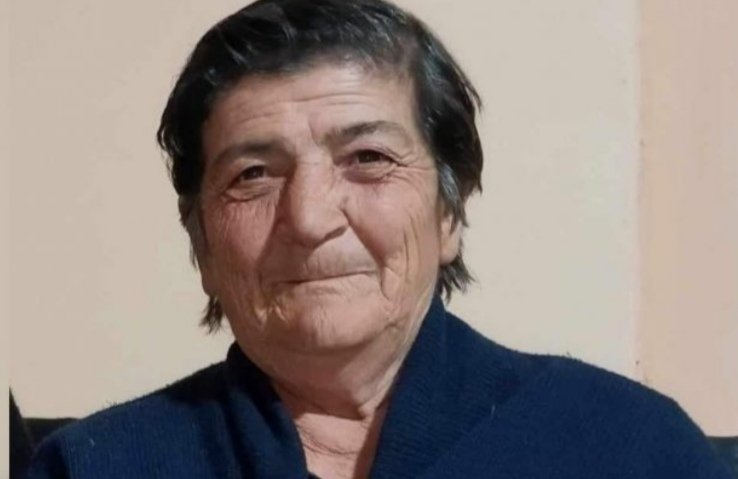 თვეზე მეტია სიღნაღში დაკარგულ ქალს ეძებენ