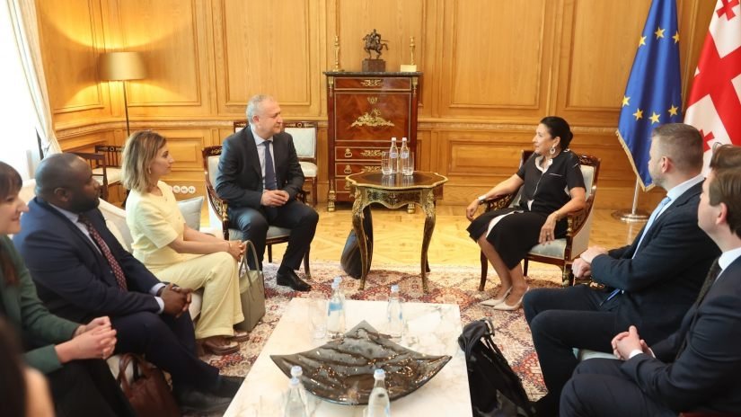 პრეზიდენტმა ნიდერლანდების სამეფოს საპარლამენტო დელეგაციასთან ოქტომბერში დაგეგმილი არჩევნები განიხილა