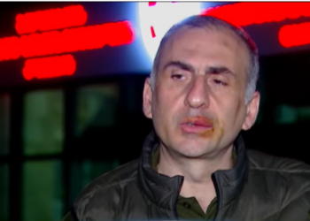 ელისაშვილის სავარაუდო არასათანადო მოპყრობის ფაქტზე იოსელიანი საგამოძიებოს მიმართავს