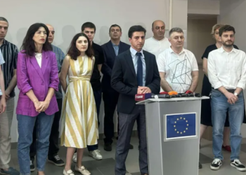 არასამთავრობო ორგანიზაციებს „უცხოური გავლენის გამჭვირვალობის შესახებ“ კანონის წინააღმდეგ საკონსტიტუციო სასამართლოში სარჩელი შეაქვთ