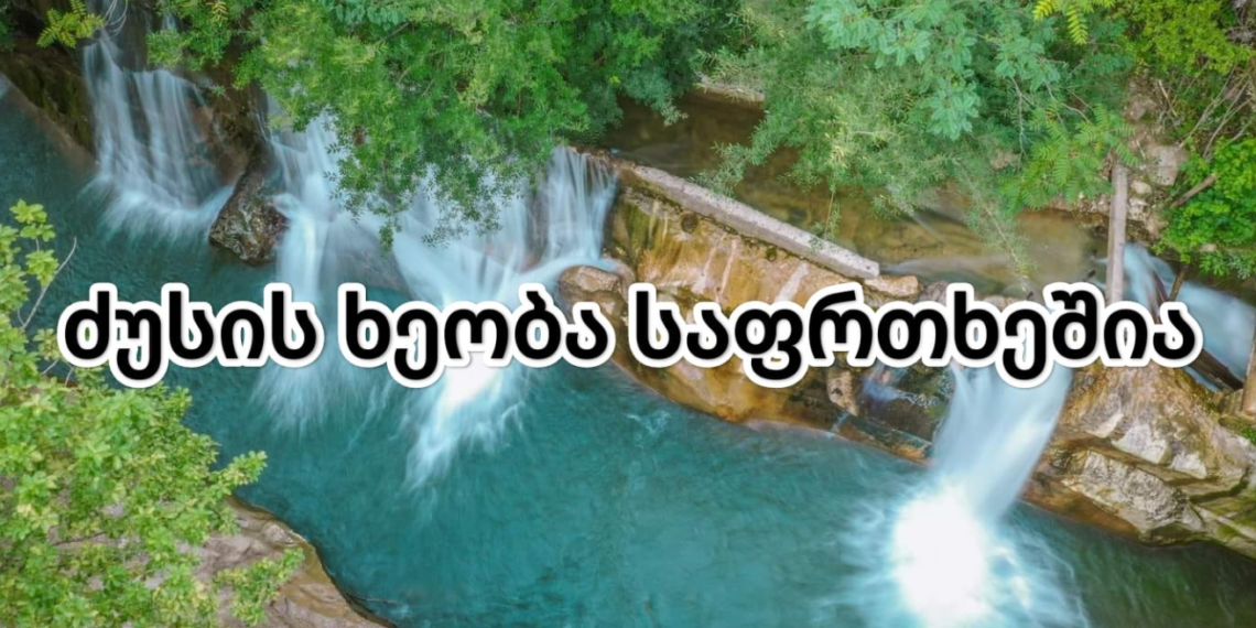 რა საფრთხის წინაშე დგას ძუსის ხეობა