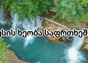 რა საფრთხის წინაშე დგას ძუსის ხეობა