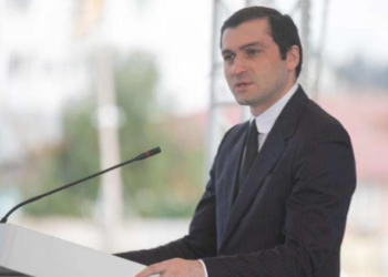 ჩვენი პოლიტიკური ძალა, მმართველი პარტია და მთელი შემადგენლობა ზუსტად იმ სულისკვეთებას იზიარებს და იმ ნორმებს იცავს პოლიტიკურ ცხოვრებაში, რომელიც ჩვენი კონსტიტუციითაა გაწერილი – თორნიკე რიჟვაძე