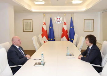 ლევან სამხარაულის სახელობის სასამართლო ექსპერტიზის ეროვნულ ბიუროს გიორგი თვაური უხელმძღვანელებს