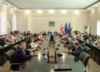 ნიკა ტყემალაძემ ადგილობრივი თვითმმართველობის წარმომადგენლებს იმერეთის ახალი სახელმწიფო რწმუნებული წარუდგინა