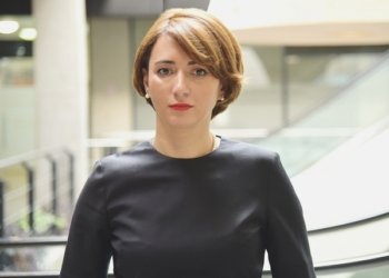 ვინ ითხოვდა საქართველოსთვის უვიზო რეჟიმის შეჩერებას – არასამთავრობო ორგანიზაციების წარმომადგენლები ბრალდებას უარყოფენ