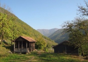 იმერეთის მოსახლეობა ბოლო 9 წელში 88 ათასით შემცირდა