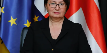 ივანიშვილის შექმნილი რუსული ყაიდის მმართველობითი სისტემა, რომელიც დაფუძნებულია შიშზე, იძულებაზე, ადამიანების კონტროლზე, ინგრევა, ამ ნგრევის დადასტურებაა განათლების მინისტრის უეცარი გადადგომა- ფიქრია ჩიხრაძე