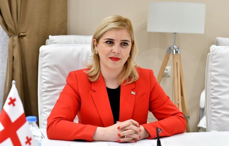 ხატია წილოსანი გაეროს მდგრადი განვითარების თანამშრომლობის ხელშეკრულების იმპლემენტაციის შეფასების ჯგუფის ექსპერტს შეხვდა