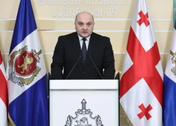 შსს მინისტრის მოადგილე – აქციის მონაწილეებსა და ორგანიზატორებს მოვუწოდებთ, თავი შეიკავონ ნებისმიერი ისეთი საგნის ან ნივთიერების ქონისგან, რომელიც ქმნის შეკრების მშვიდობიანი ხასიათის დაკარგვის რეალურ რისკებს