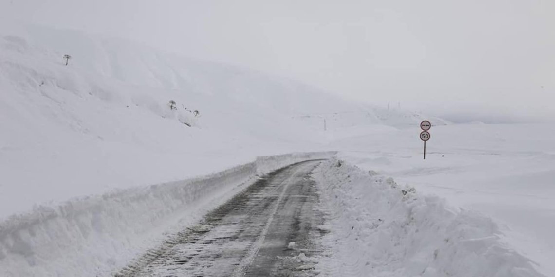 საავტომობილო გზების დეპარტამენტი ინფორმაციას ავრცელებს