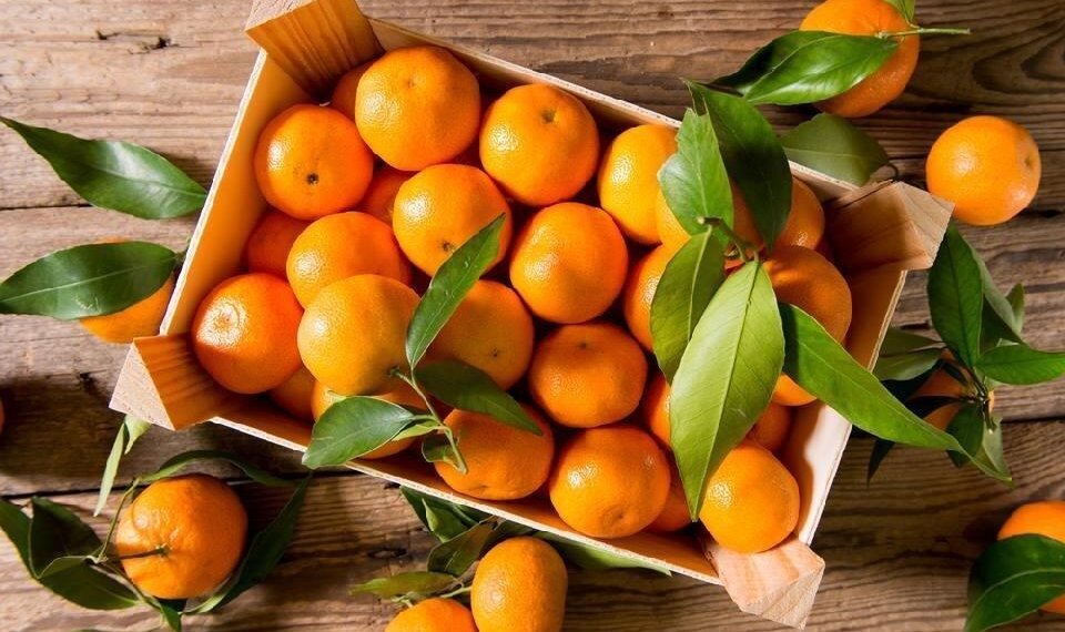 რა ხდება ორგანიზმში ,როდესაც მანდარინს მივირთმევთ?!