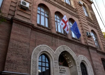 საქართველოს საგარეო საქმეთა სამინისტროს მოქმედი თანამშრომლების ერთობლივი განცხადება