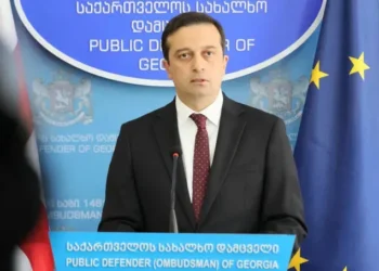 სახალხო დამცველის განცხადება 28-29 ნოემბრის აქციის დაშლის შესახებ