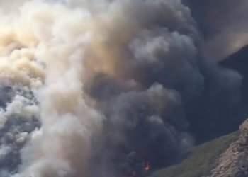 კალიფორნიის შტატში მეორე დღეა ტყის მასივები იწვის