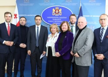 სახალხო დამცველი საქართველოში მყოფ ევროპარლამენტარებს შეხვდა