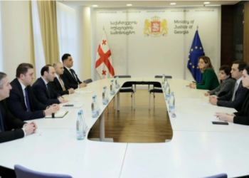 იუსტიციის მინისტრი ანრი ოხანაშვილი სახალხო დამცველს შეხვდა