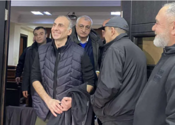ალეკო ელისაშვილი პატიმრობიდან გათავისუფლდა