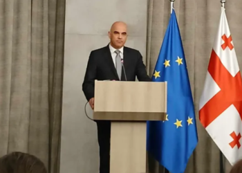 ევროსაბჭოს გენერალური მდივნის განცხადებით, მთავრობისგან მიიღო დაპირება, რომ „უცხოური გავლენის გამჭვირვალობის შესახებ“ კანონს შეცვლის