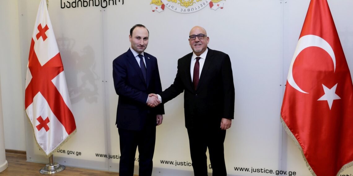 ანრი ოხანაშვილი თურქეთის ელჩს შეხვდა