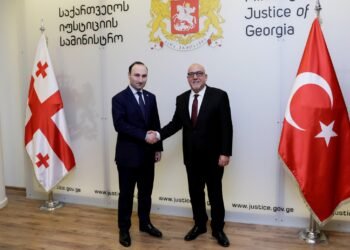 ანრი ოხანაშვილი თურქეთის ელჩს შეხვდა