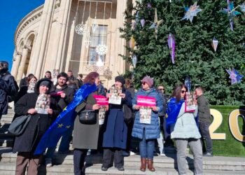 ქუთაისში ნაძვის ხესთან, აქციებზე ნაცემი მოქალაქეებისა და ჟურნალისტების ფოტოები მიიტანეს