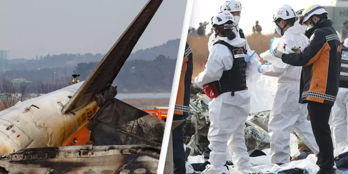 ბოლო შეტყობინება, რომელიც ბორტზე მყოფმა მგზავრმა ოჯახის წევრს გაუგზავნა